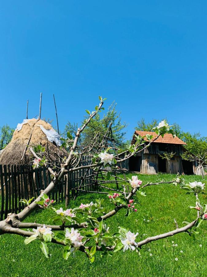 The Story Garden Hotel Corbi Bagian luar foto